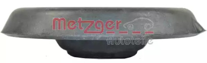metzger wmf0117